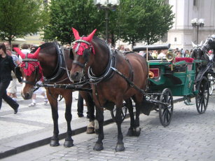 Praga